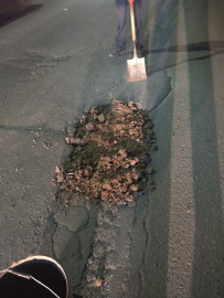 Previniendo accidentes Agentes de Vialidad tapan bache