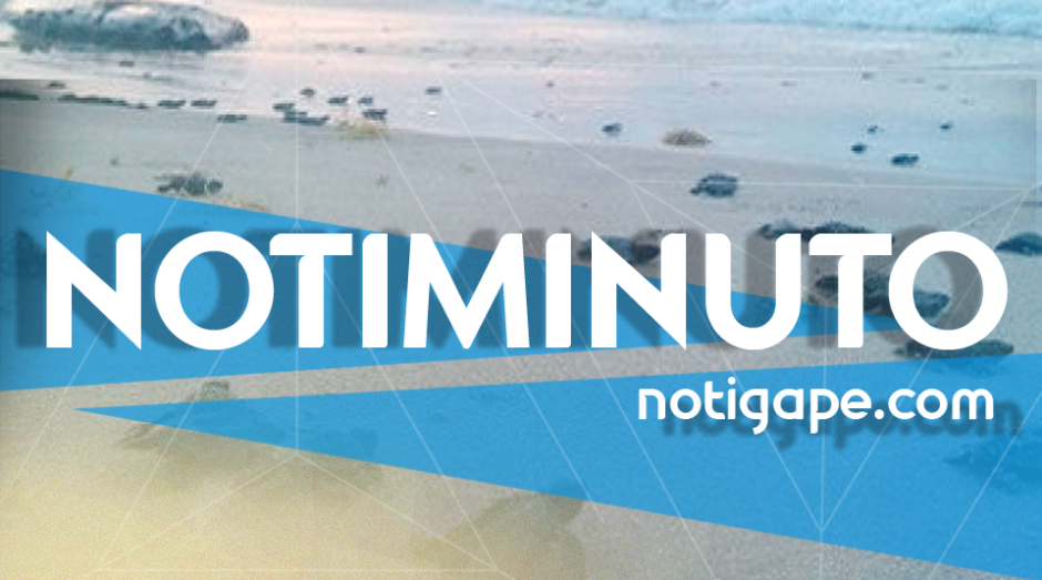 Las noticias más relevantes del en el Notiminuto: NotiGAPE 