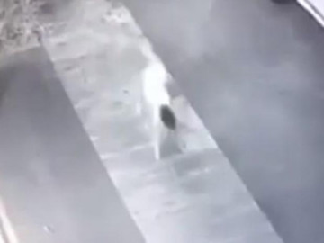 Video perturba a usuarios en redes