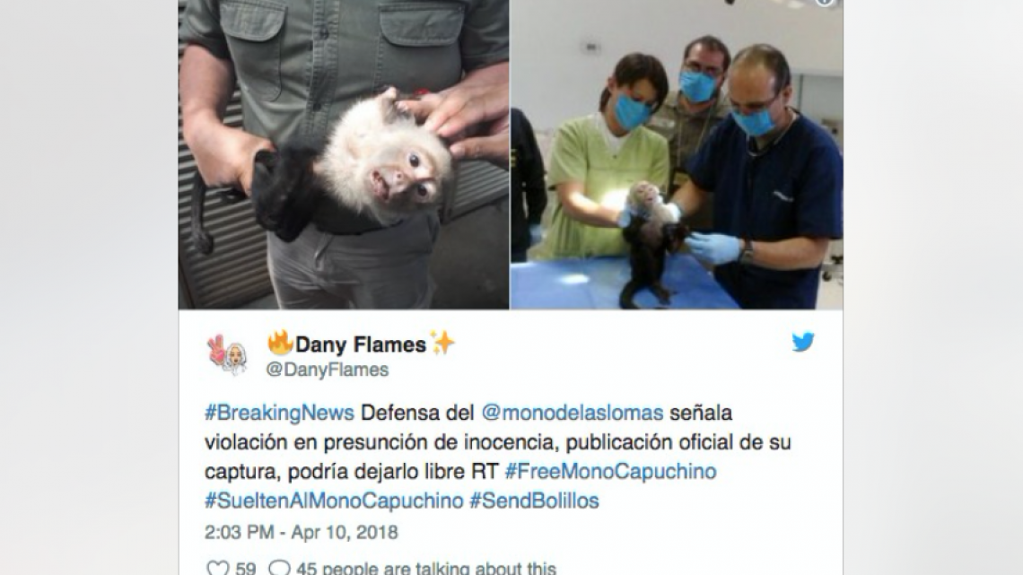 Reacciones y memes por captura del mono de las lomas