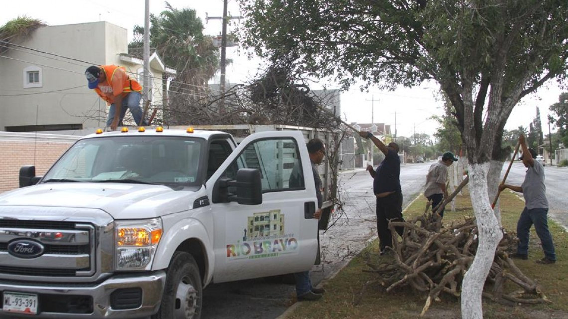 Realizan brigada de limpieza
