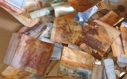 Hombre enlata su dinero y se pudre