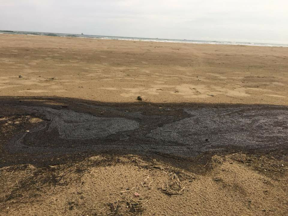 Aparece gran mancha de chapo en playa Miramar