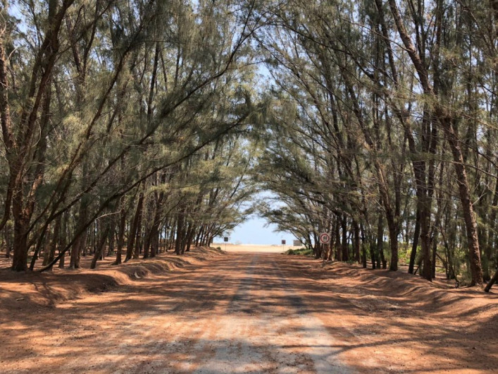 Continúa cerrada playa Tesoro como medida preventiva ante el COVID 19