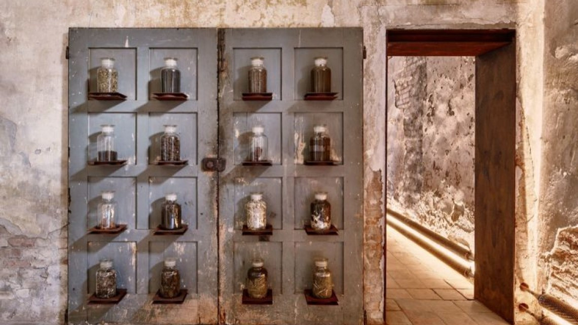 El arte de transformar las heces, el Museo del Excremento