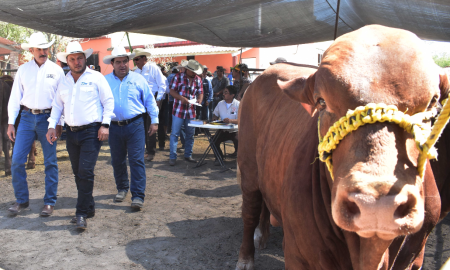 Todo está listo para iniciar el programa “Mejoramiento Genético Tam 2019”