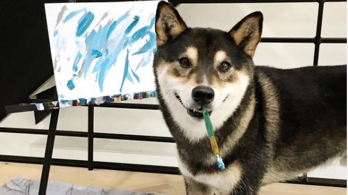 Hunter, el perrito pintor que ha ganado miles de dólares con sus pinturas