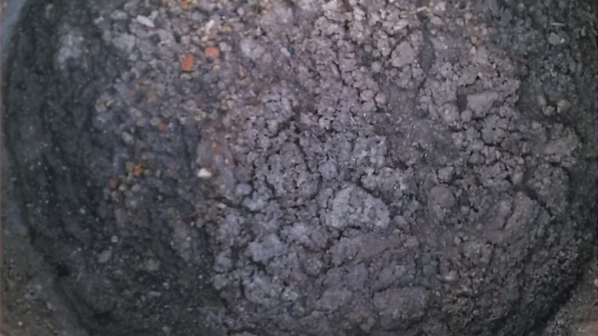 Eliminan brotes de aguas negras en Voluntad y Trabajo