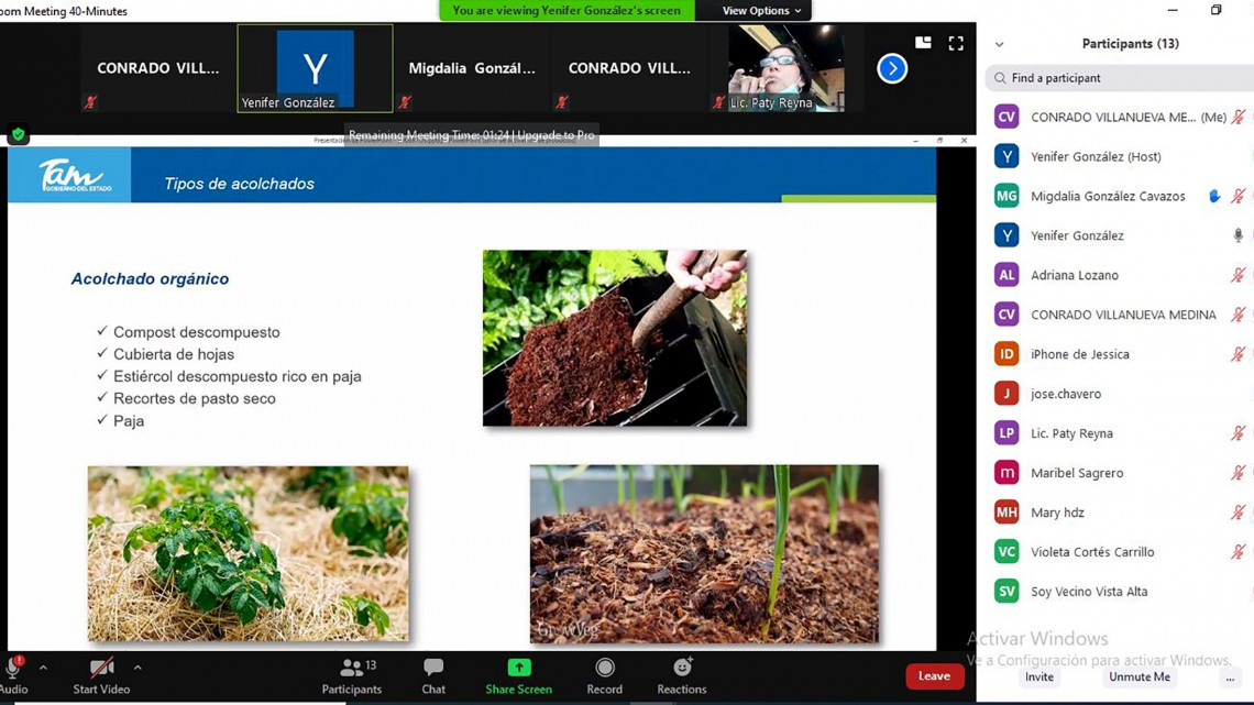 Promueve Gobierno de Tamaulipas huertos urbanos sustentables