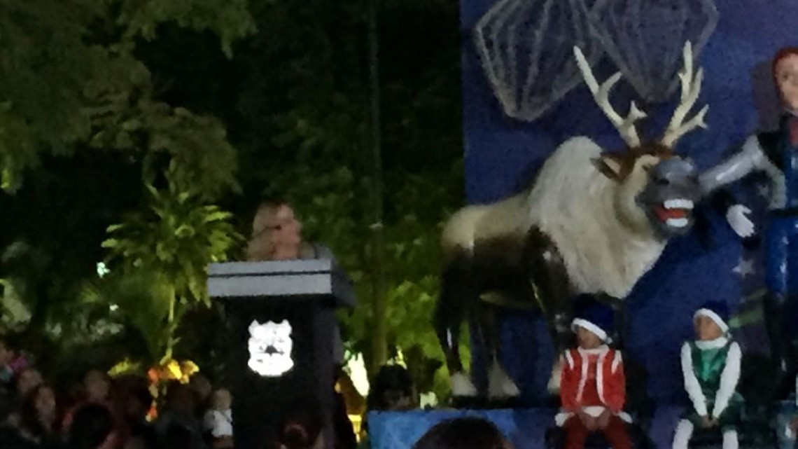 Altamira se ilumina con el encendido del árbol de navidad