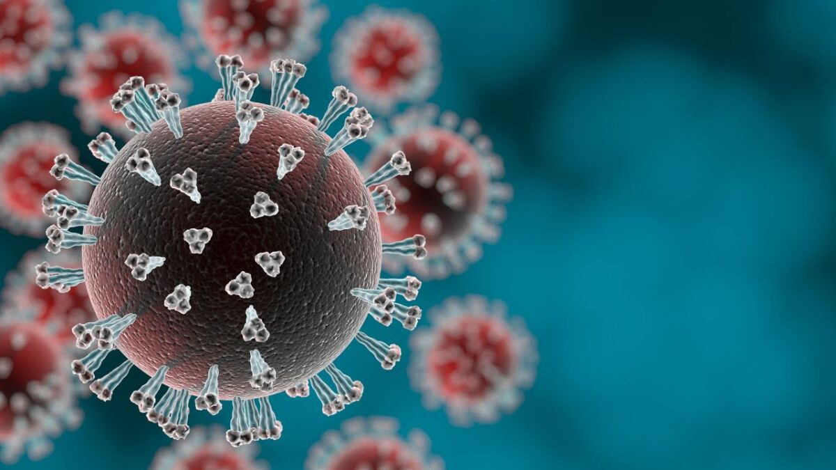Alerta por aumento de contagios de la nueva variante de COVID-19 “NB.1.8.1”