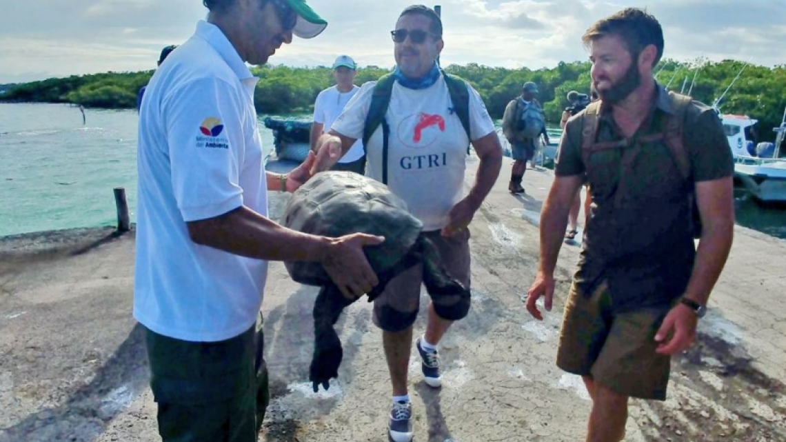 Hallan espécimen de tortuga que creían extinta hace cien años