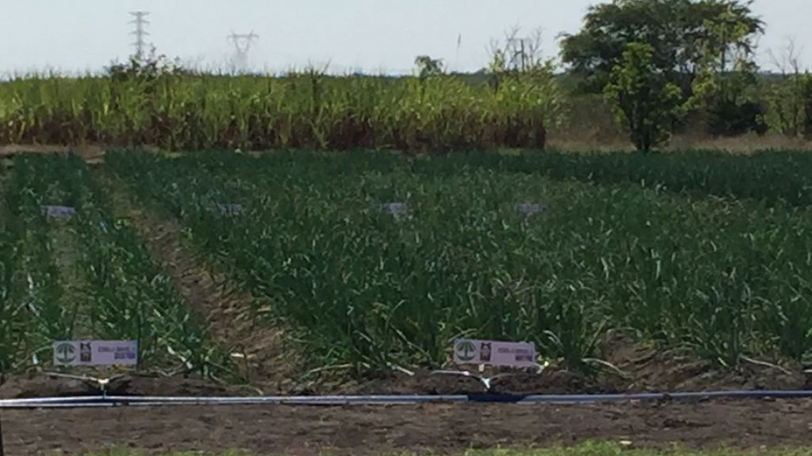 CADER Altamira brinda apoyos 