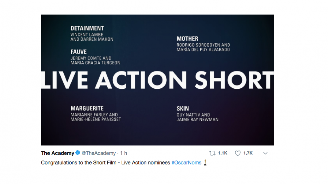 Todas las nominaciones a los Oscar 2019