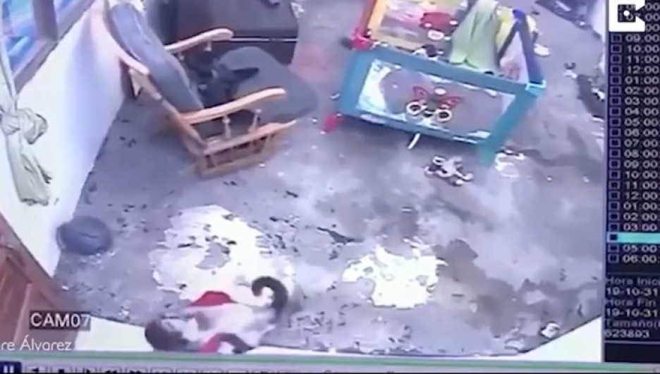 Gato salva a niño de caer por las escaleras