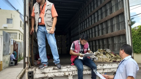 Llegan al INE Tampico 5 toneladas de material electoral