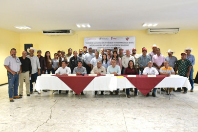 Capacitan a médicos veterinarios como responsables en rumiantes