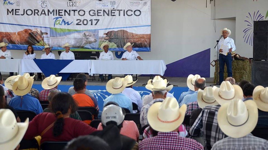 Destina Gobernador 36 mdp para mejoramiento de hatos de Tamaulipas