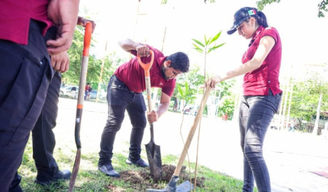 Se suma INJUVE Tamaulipas a las Jornadas Nacionales por la Paz con reforestación en Ciudad Victoria
