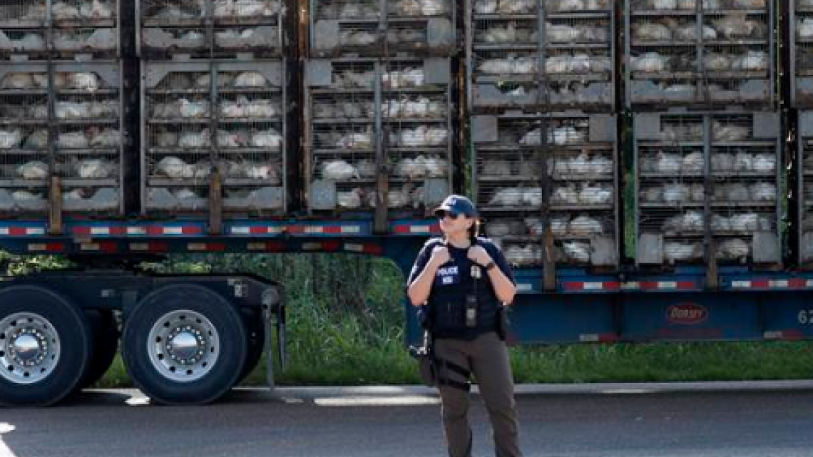 Redadas en plantas de Mississippi dejan 680 detenidos