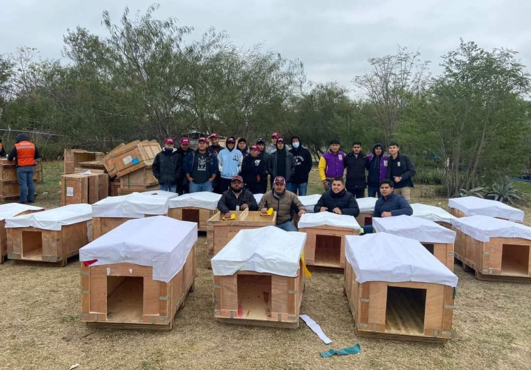 Resguarda Alcalde Carlos Peña Ortiz a animalitos en condición de calle