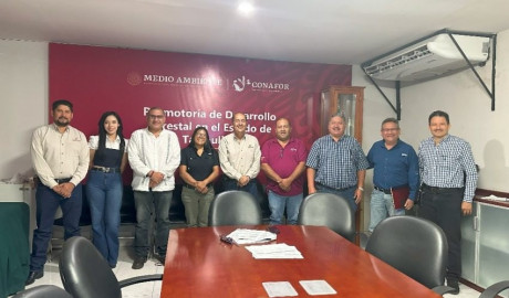 Presentan avances del programa operativo 2025 en reunión de sanidad forestal