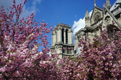 Amenaza terrorista cancela procesión en Notre Dame de París