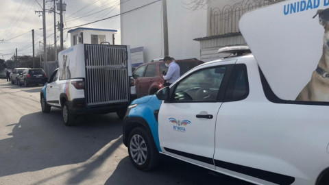 Llegan vehículos para rescatar y atender animales maltratados