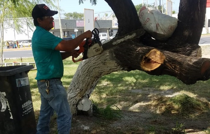 Limpian cuadrillas calles y sitios públicos 