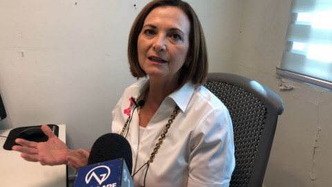 Trabajaremos unidos sin importar colores: Ma. Esther Camargo