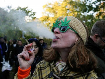 Continua ganado terreno consumo de mariguana recreativa y medicina