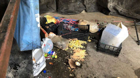 Seis lesionados en conato de bronca en la Coca-Cola 