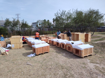 Construyen casitas para lomitos sin hogar