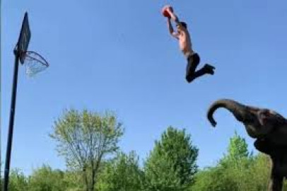 Acróbata realiza canastas de basquetbol con ayuda de elefantes