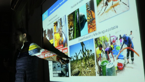 Gobierno de Tamaulipas impulsa el desarrollo sostenible