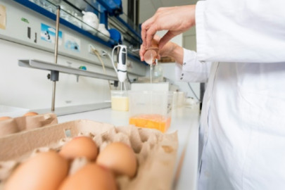 Escándalo de huevos contaminados llega a Francia