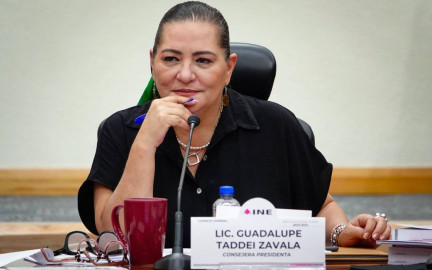 Respetar la Constitución es honrar la democracia y fortalecer a México: Taddei