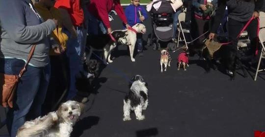Inauguran parque para perros en Mission
