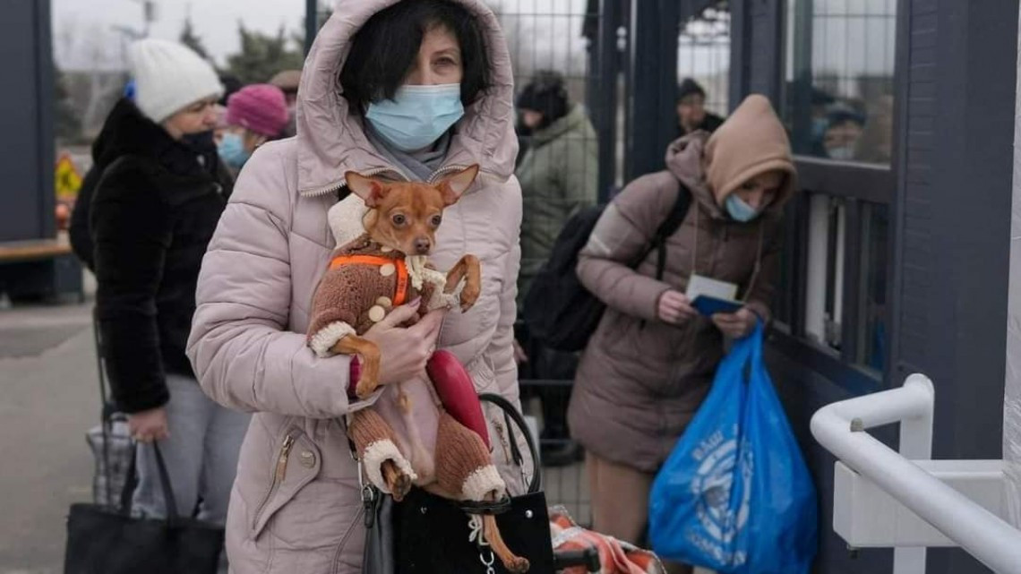 Parejas, familias y mascotas se despiden por invasión en Ucrania