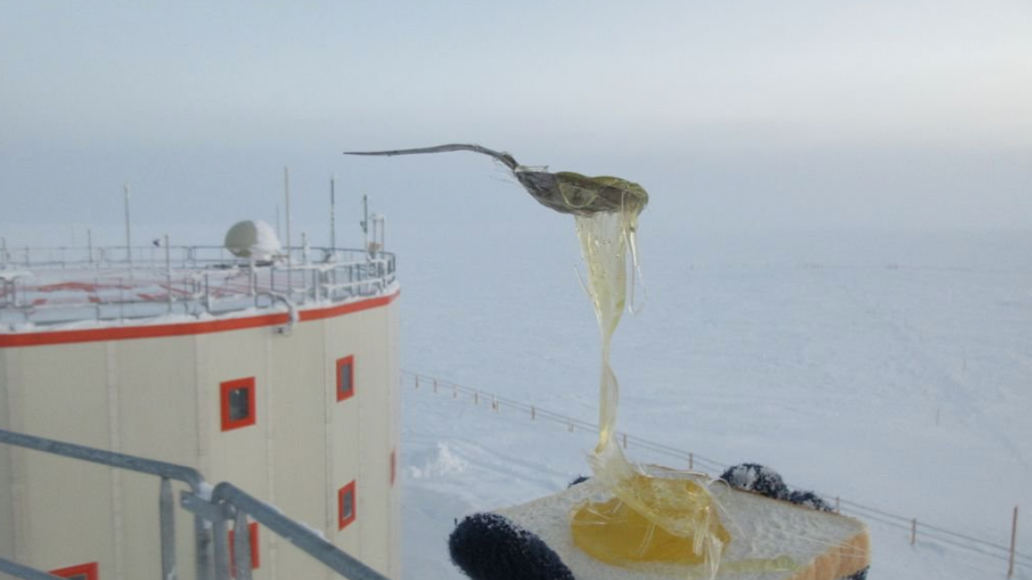 Capturan instantes a 80 grados bajo cero