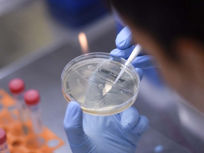 Australia probará vacuna de tuberculosis para combatir coronavirus