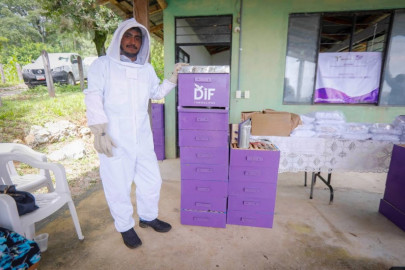 DIF Tamaulipas impulsa proyecto de “Producción Sostenible de Miel” en comunidades rurales