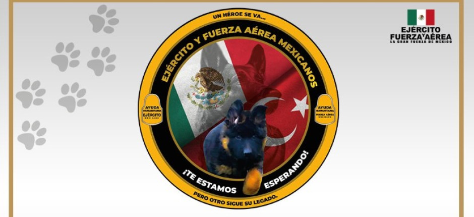 Gobierno Turco dona cachorrito a Sedena para continuar con legado de Proteo