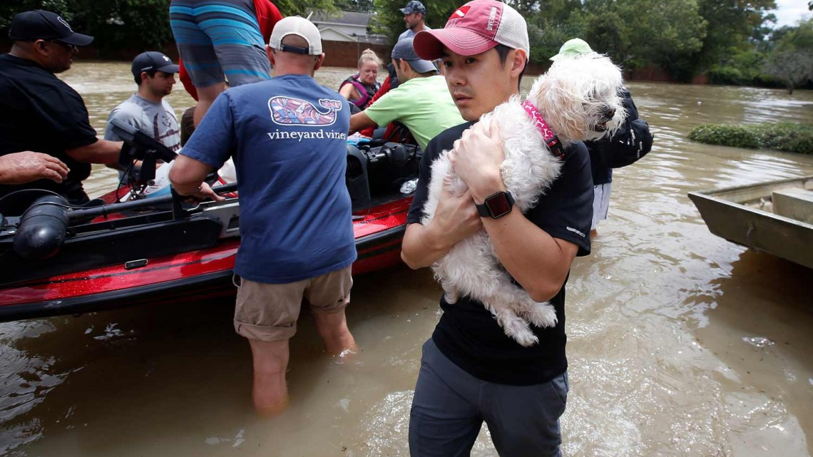 Comienza EU rescate de mascotas victimas de ‘Harvey’