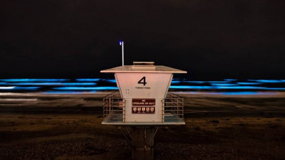 Las playas de San Diego se visten de azul-neón
