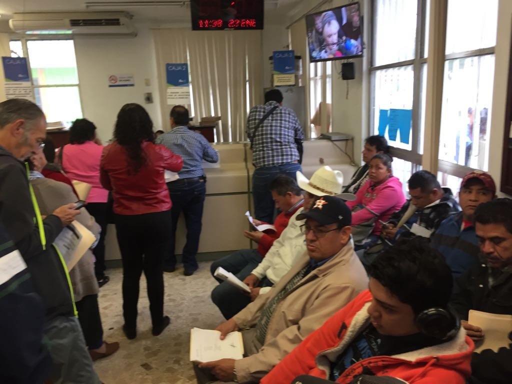 Aún sin definir trámites para engomado especial a vehículos chocolates