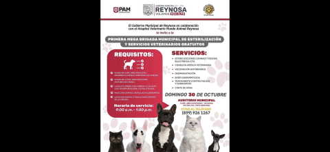 Ofrecen Gobierno de Reynosa y Mundo Animal esterilización gratuita para perros y gatos
