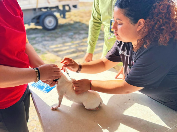 Celebró Gobierno de Reynosa fin de semana por las mascotas 