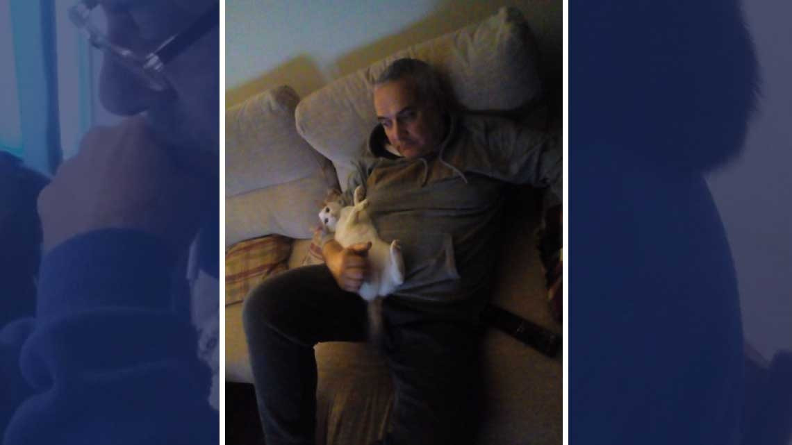 ¡No quiero animales!, días después...