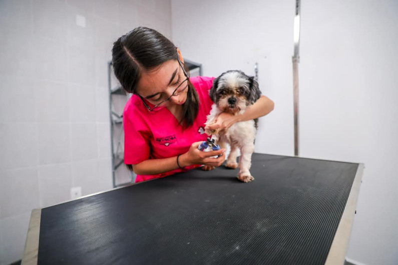 Vela Carlos Peña Ortiz por los derechos de los animales